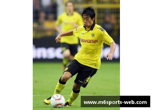 德甲巴西球员：德国足坛的绿茵风情